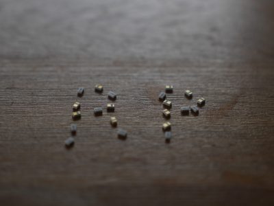 P1110503